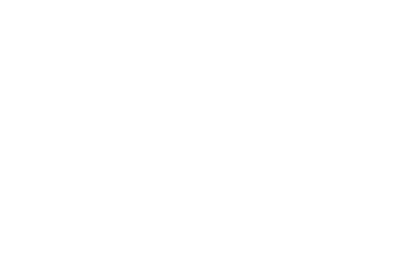 Wraptors Inc